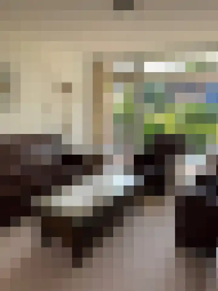Bentlagestraat 36 Ter Apel thumbnail 15