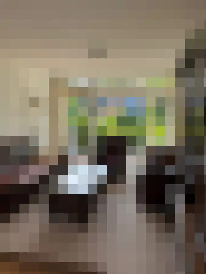 Bentlagestraat 36 Ter Apel thumbnail 16