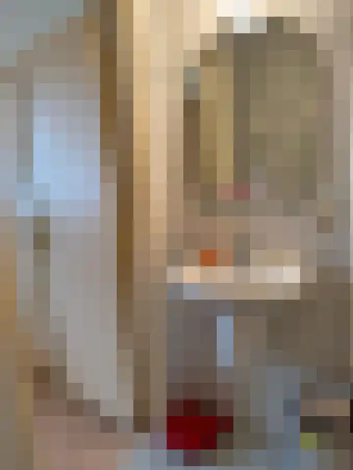 Bentlagestraat 36 Ter Apel thumbnail 17