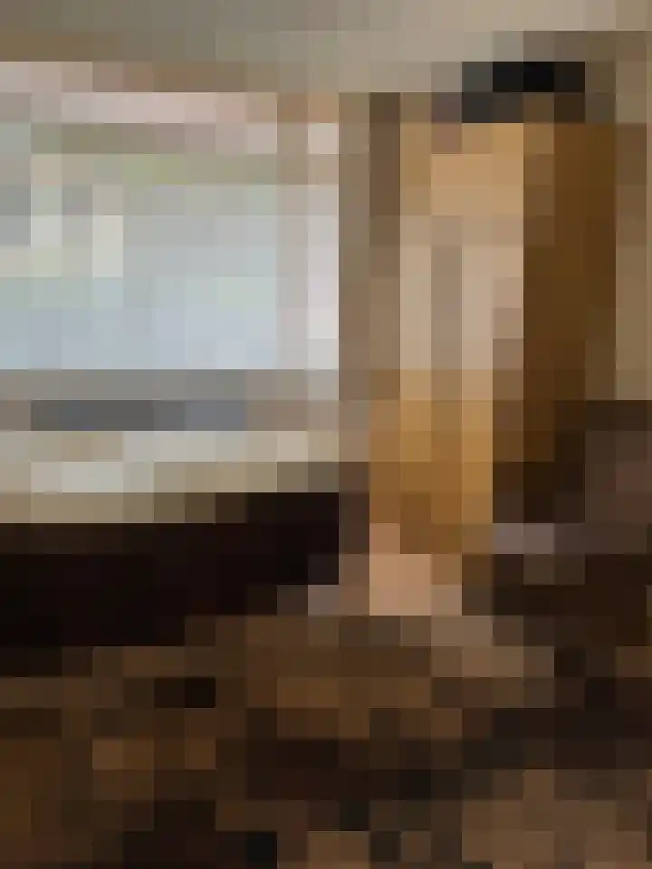Bentlagestraat 36 Ter Apel thumbnail 22