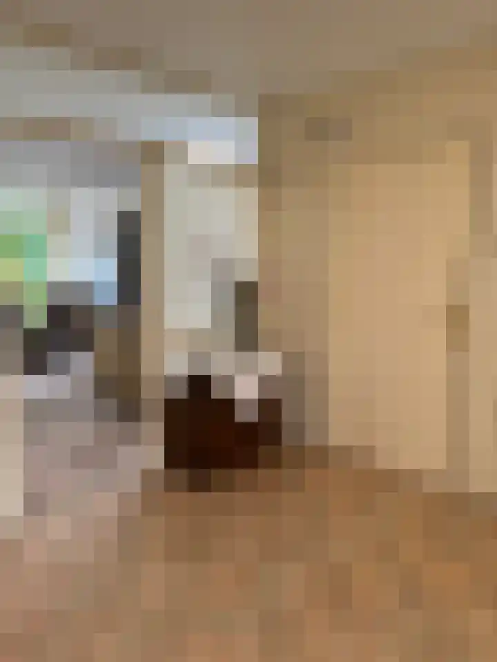 Bentlagestraat 36 Ter Apel thumbnail 6