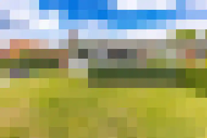 Bentlagestraat 38 Ter Apel thumbnail 31