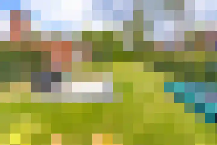 Bentlagestraat 38 Ter Apel thumbnail 33