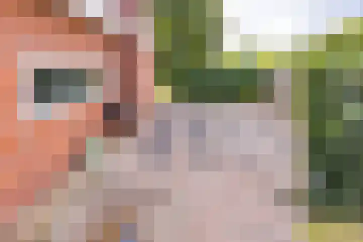 Bentlagestraat 38 Ter Apel thumbnail 35