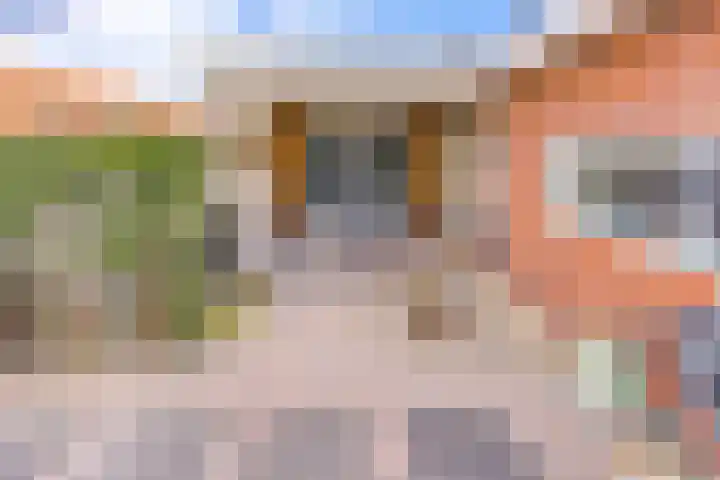 Bentlagestraat 38 Ter Apel thumbnail 36