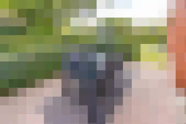 Bentlagestraat 38 Ter Apel thumbnail 37
