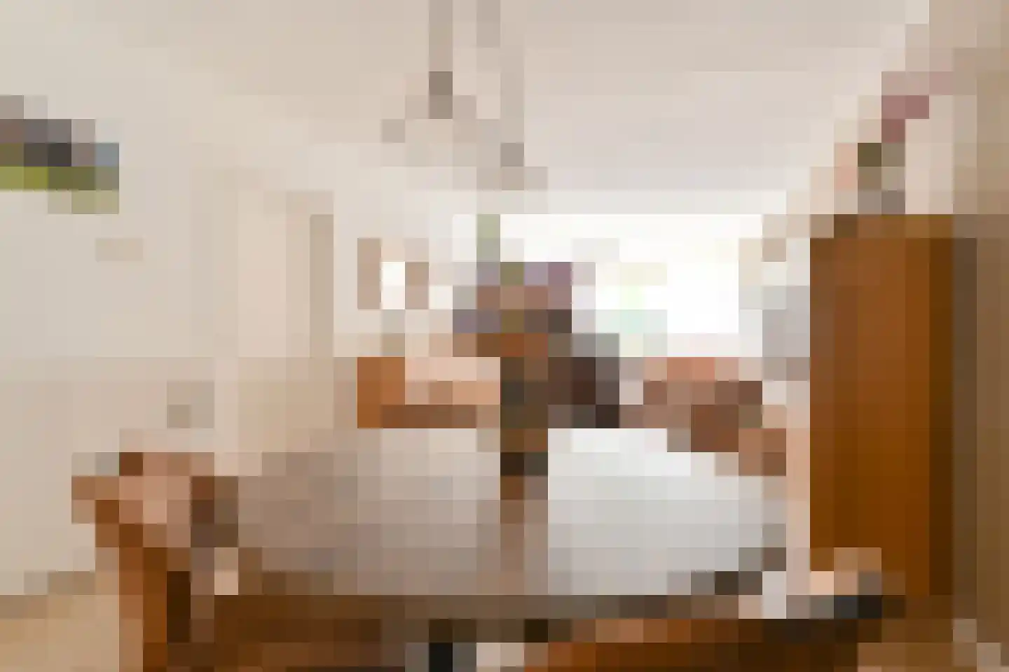 Bentlagestraat 40 Ter Apel thumbnail 22