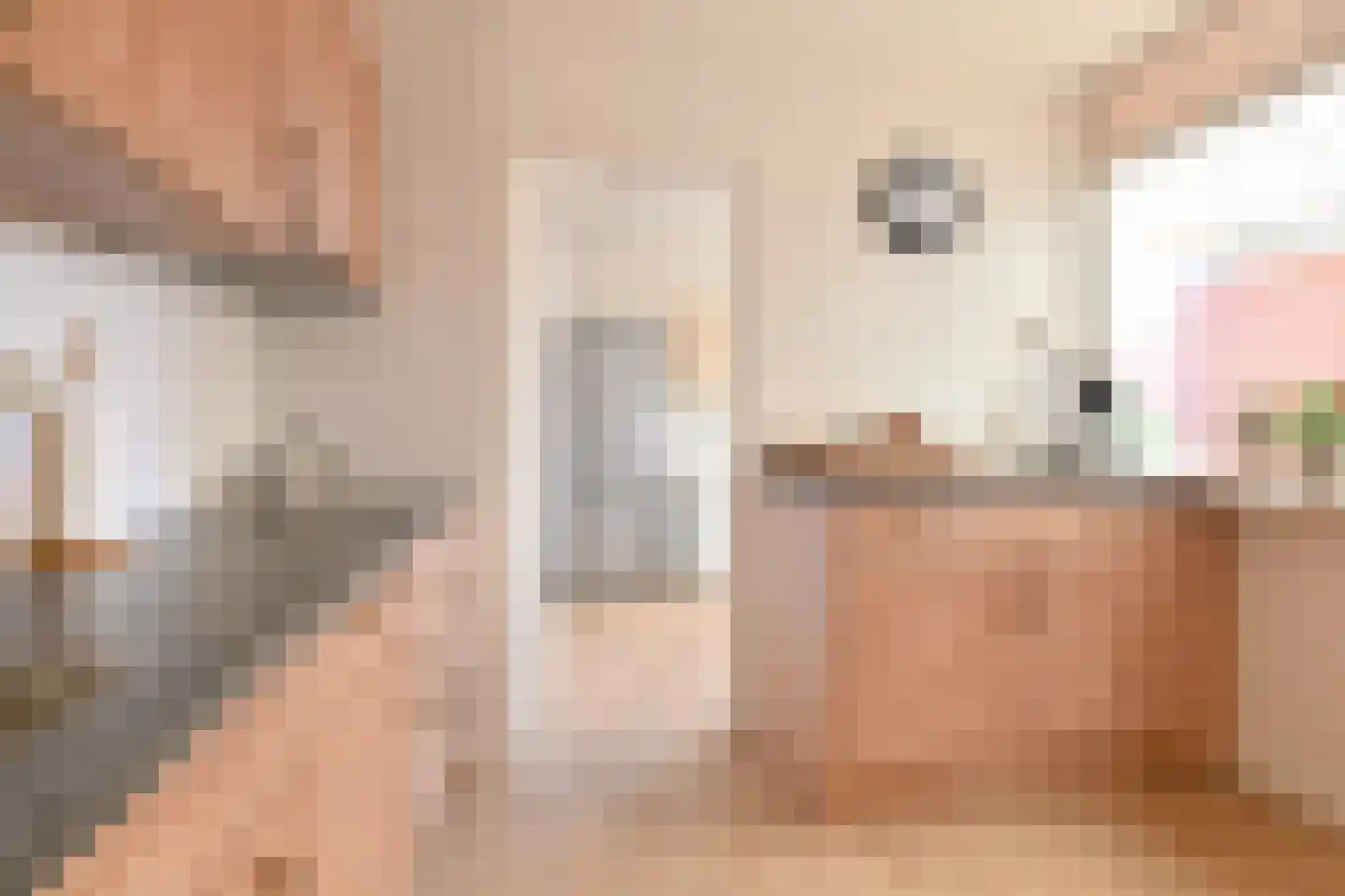 Bentlagestraat 40 Ter Apel thumbnail 33