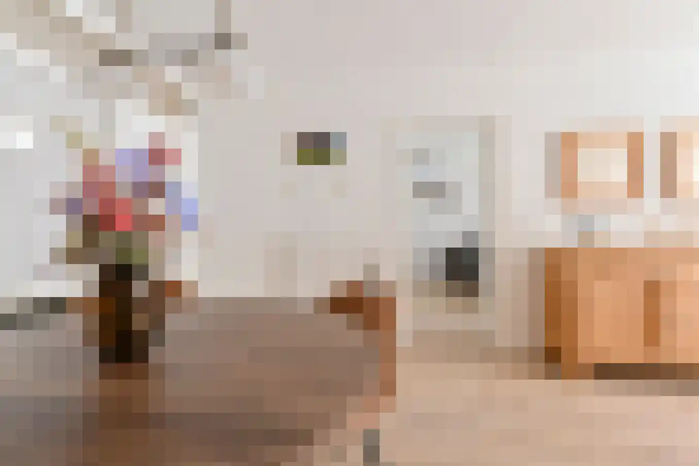 Bentlagestraat 40 Ter Apel thumbnail 36