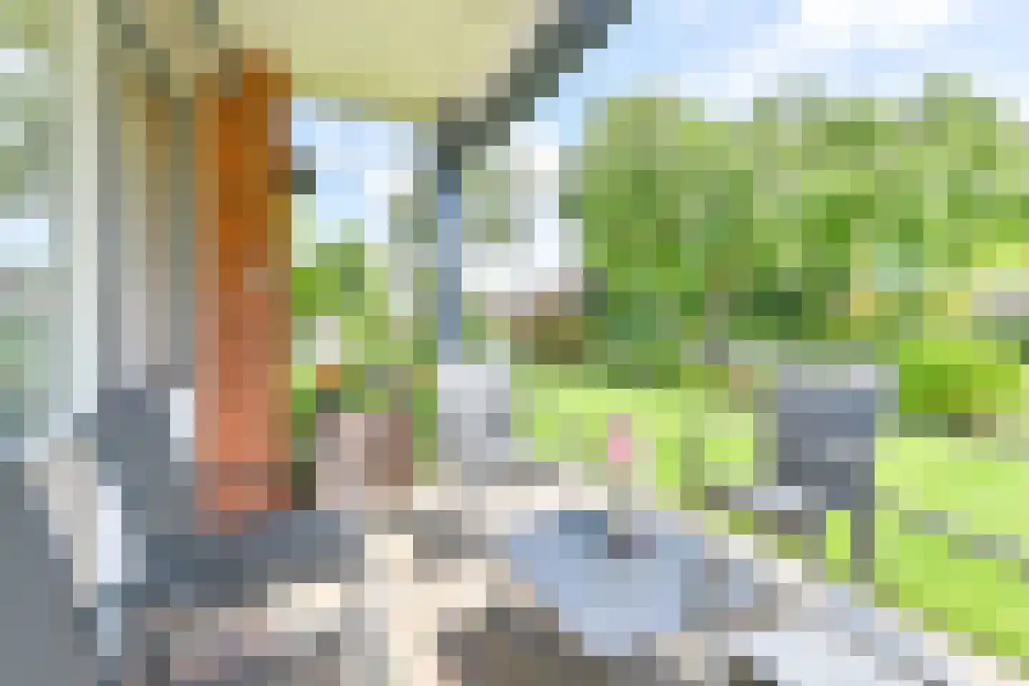 Bentlagestraat 40 Ter Apel thumbnail 4