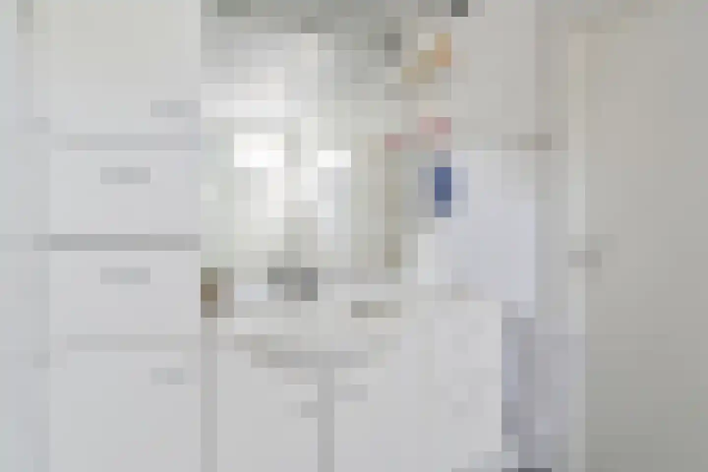 Bentlagestraat 40 Ter Apel thumbnail 43