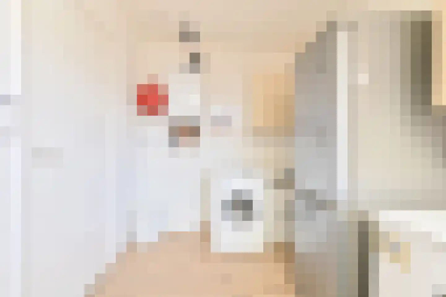 Bentlagestraat 40 Ter Apel thumbnail 52