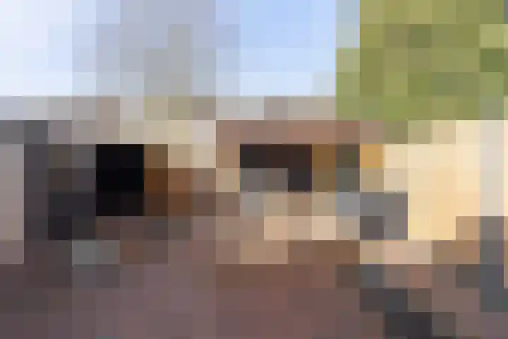 Bentlaken 20 Werkendam thumbnail 36