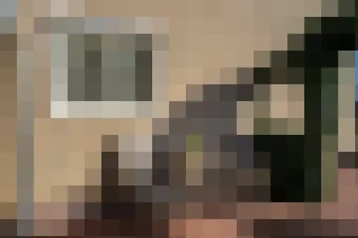 Bentlaken 20 Werkendam thumbnail 4