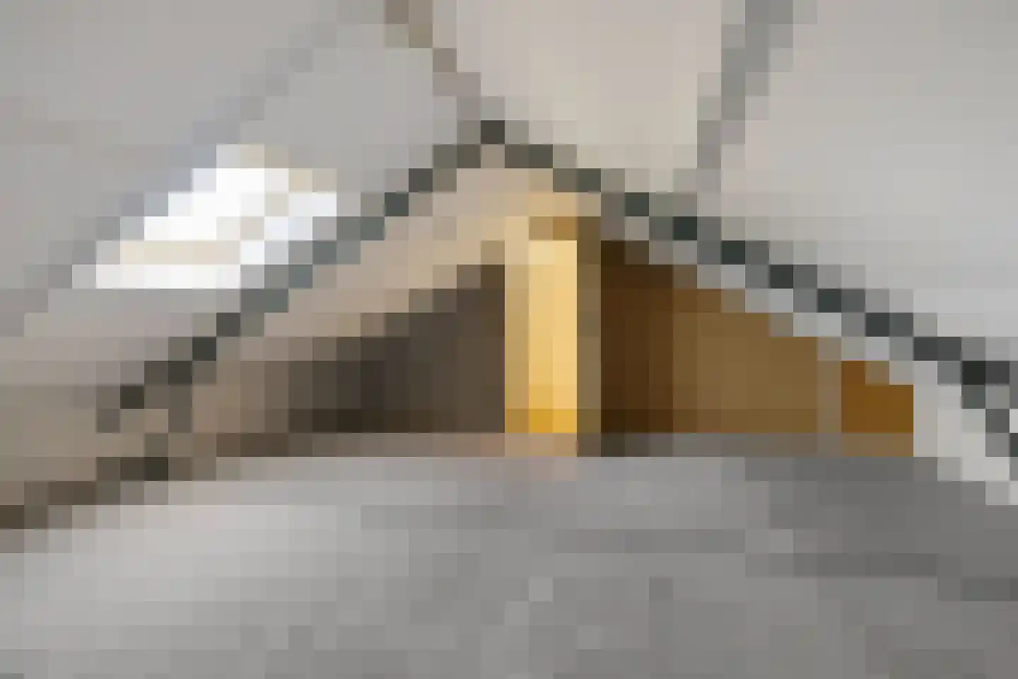 Bentpollen 23 Gieterveen thumbnail 28