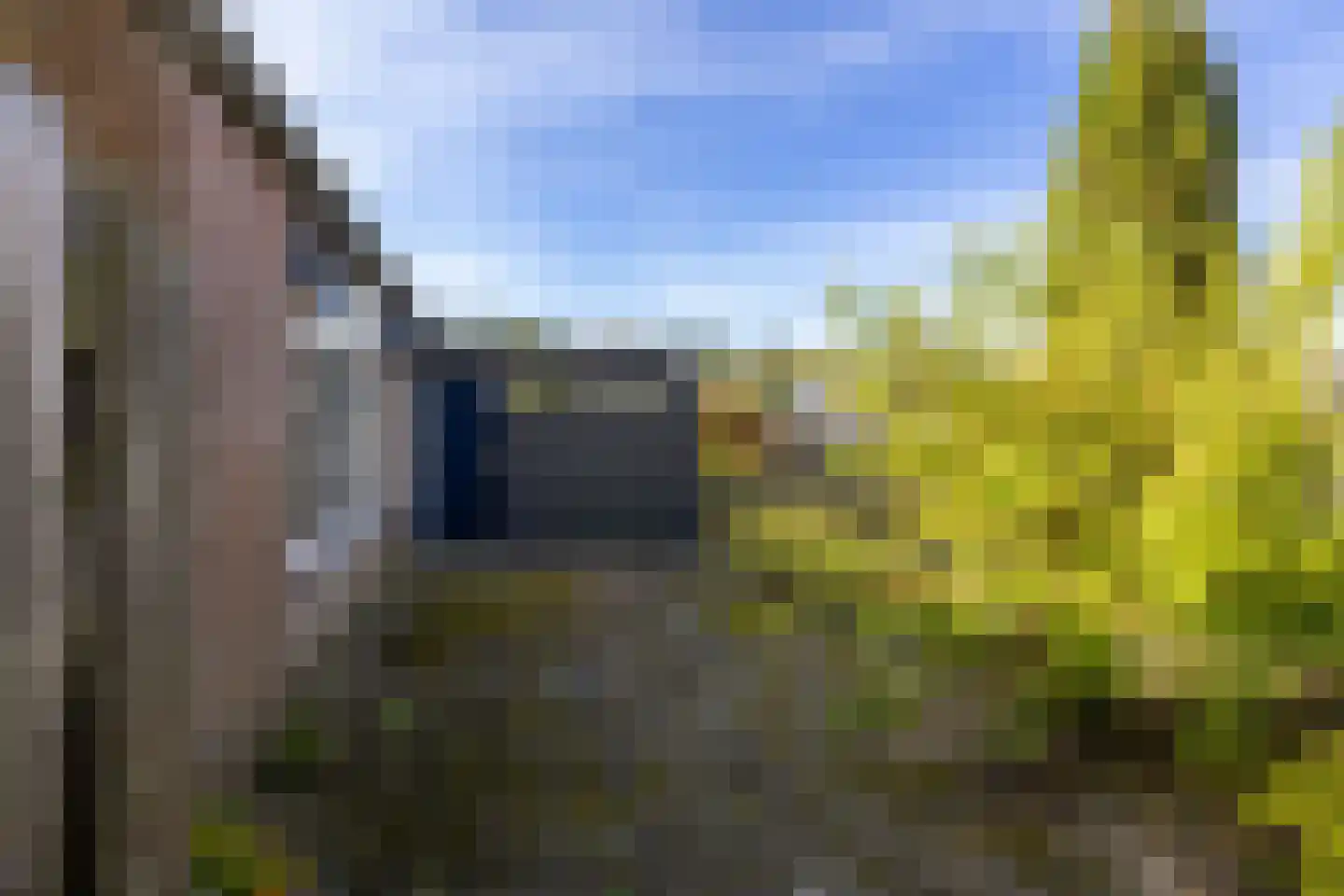 Bentpollen 23 Gieterveen thumbnail 29