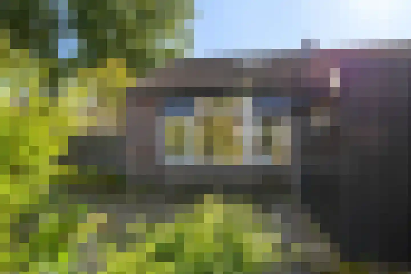 Bentpollen 23 Gieterveen thumbnail 31