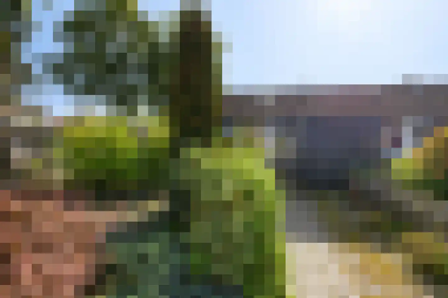 Bentpollen 23 Gieterveen thumbnail 32