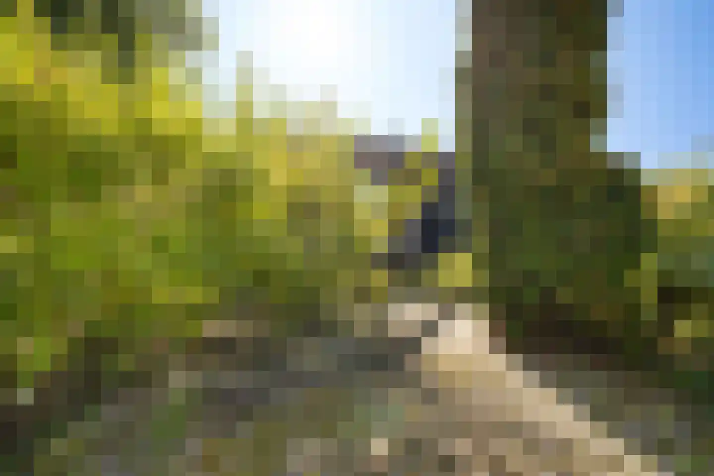 Bentpollen 23 Gieterveen thumbnail 33