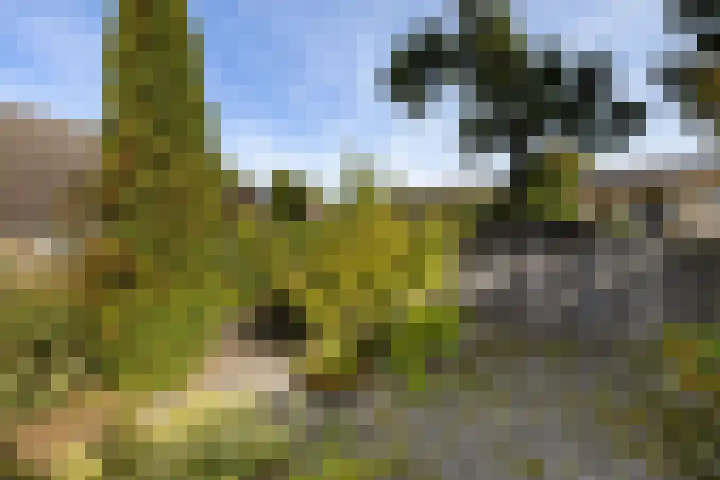 Bentpollen 23 Gieterveen thumbnail 35