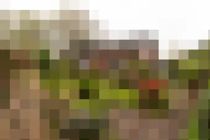 Bentveldsweg 108 Aerdenhout thumbnail 19