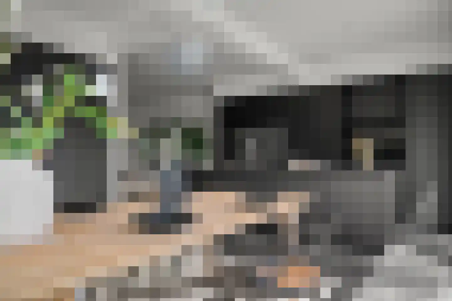 Bentveldsweg 124 Aerdenhout thumbnail 12