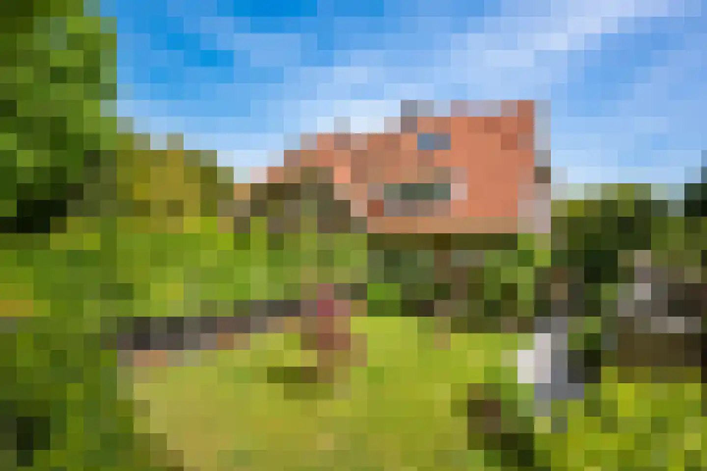 Bentveldsweg 124 Aerdenhout thumbnail 43