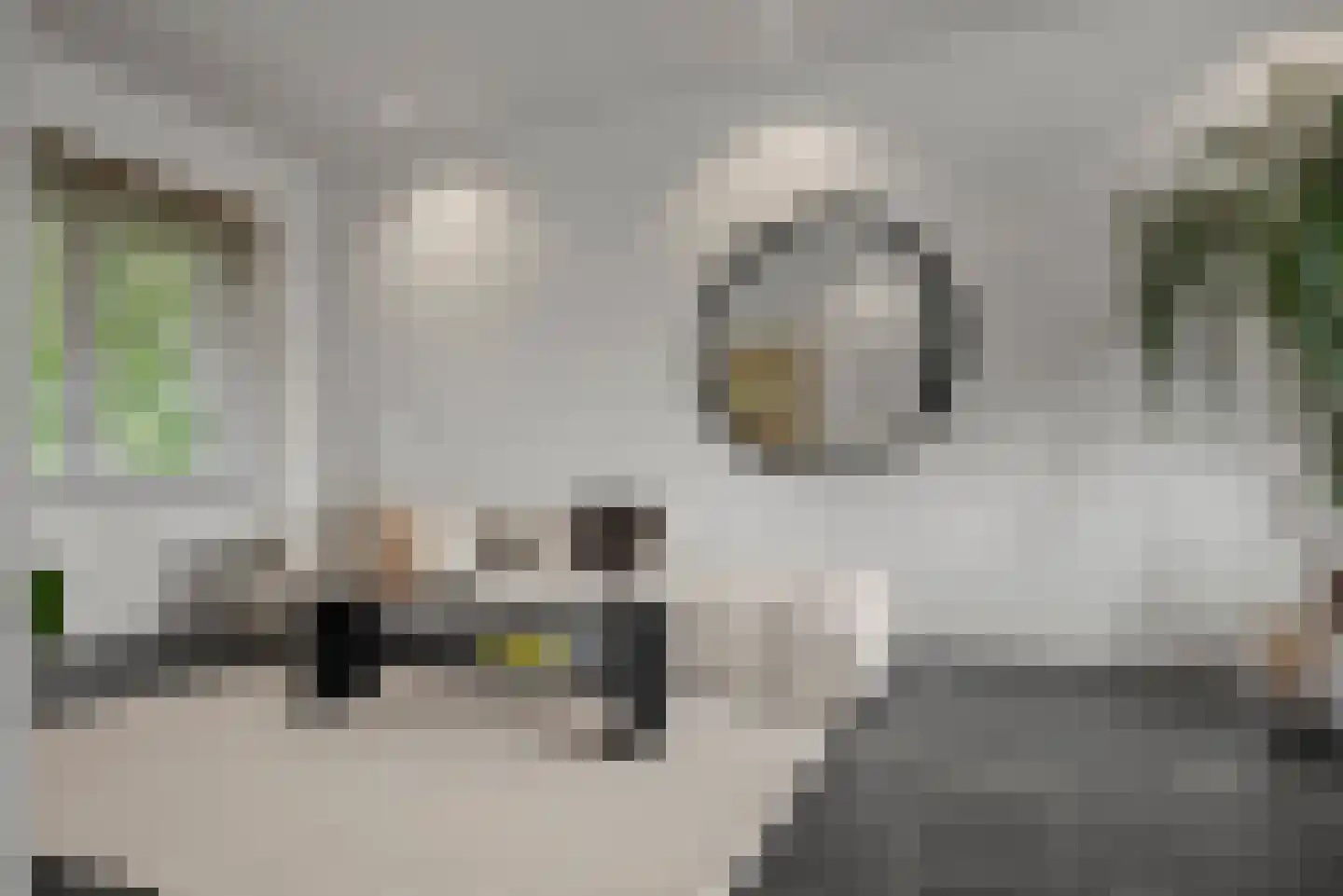 Bentveldsweg 124 Aerdenhout thumbnail 6
