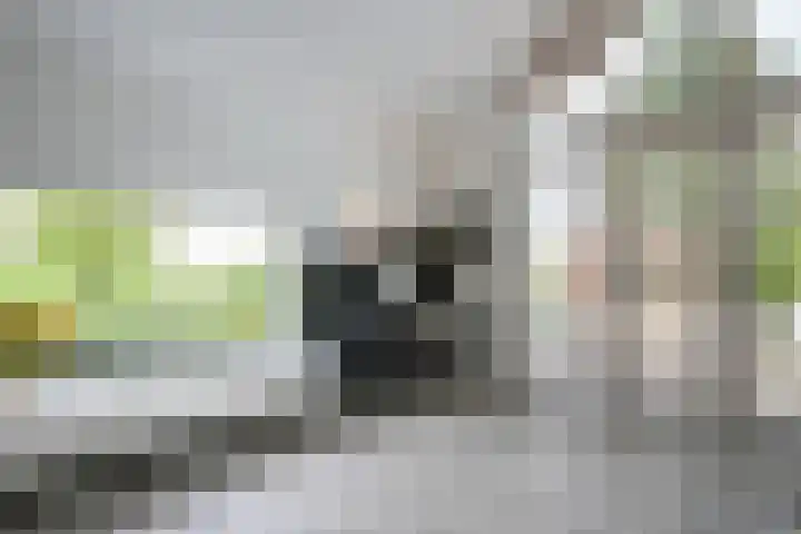 Benzenrade 26 Heerlen thumbnail 12