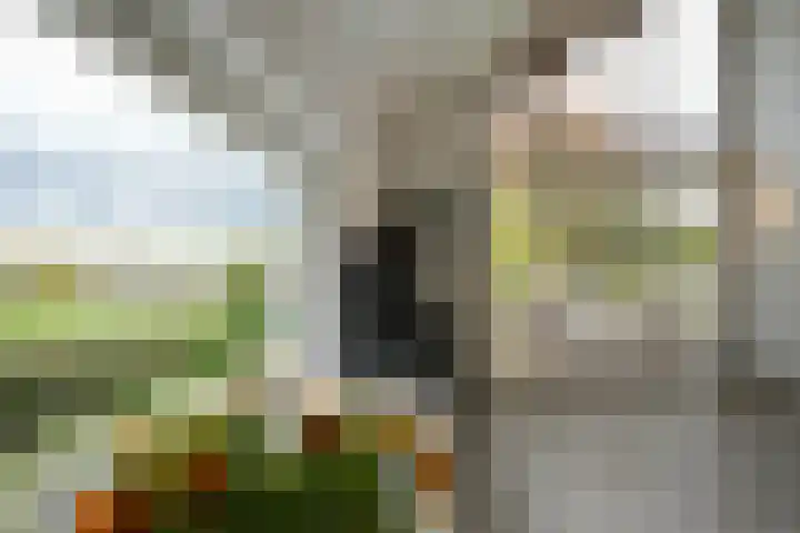 Benzenrade 26 Heerlen thumbnail 13