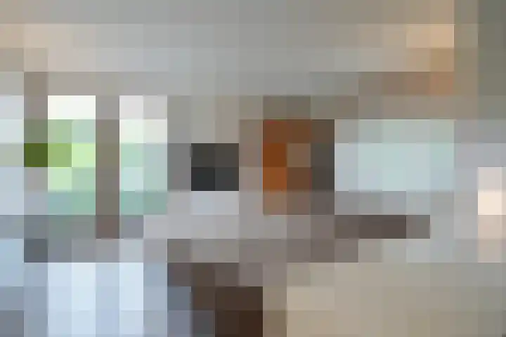 Benzenrade 26 Heerlen thumbnail 19