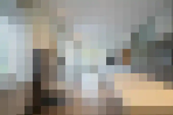 Benzenrade 26 Heerlen thumbnail 25