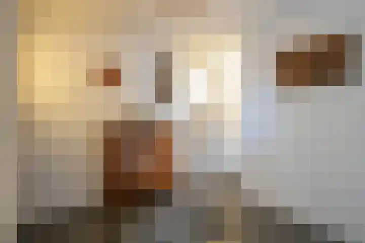 Benzenraderweg 20 Heerlen thumbnail 23