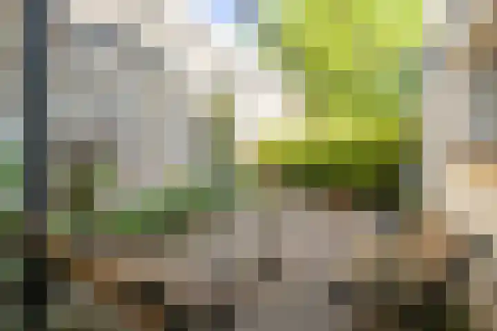 Benzenraderweg 20 Heerlen thumbnail 5