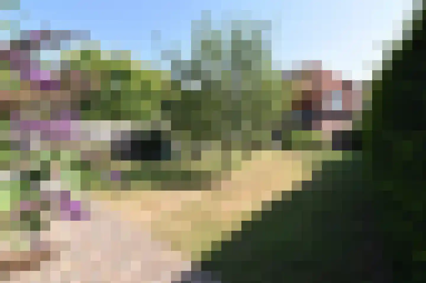 Benzenraderweg 218 Heerlen thumbnail 28