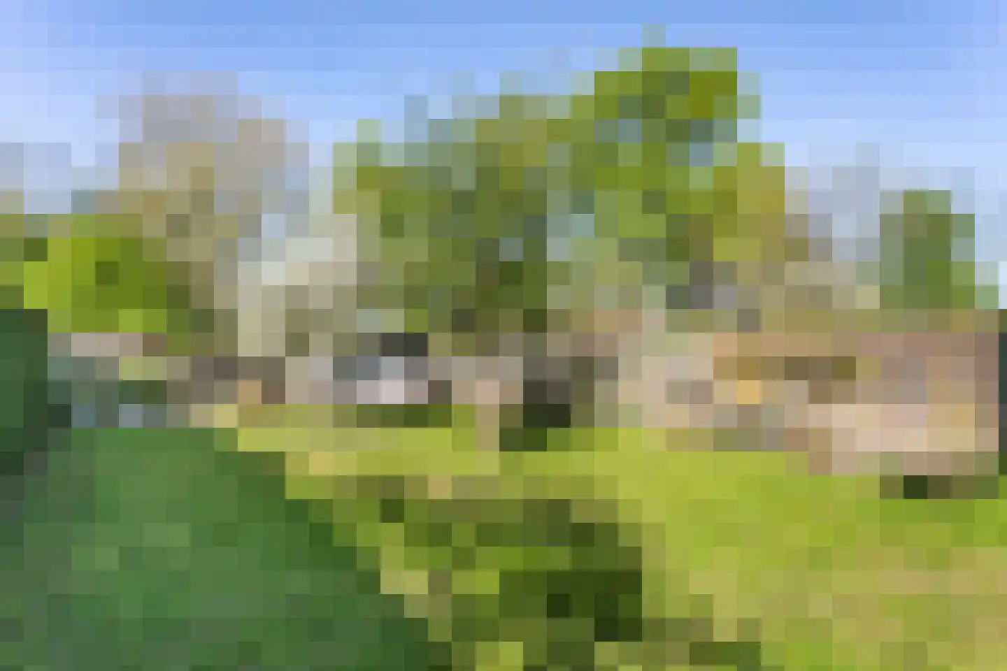 Benzenraderweg 218 Heerlen thumbnail 28