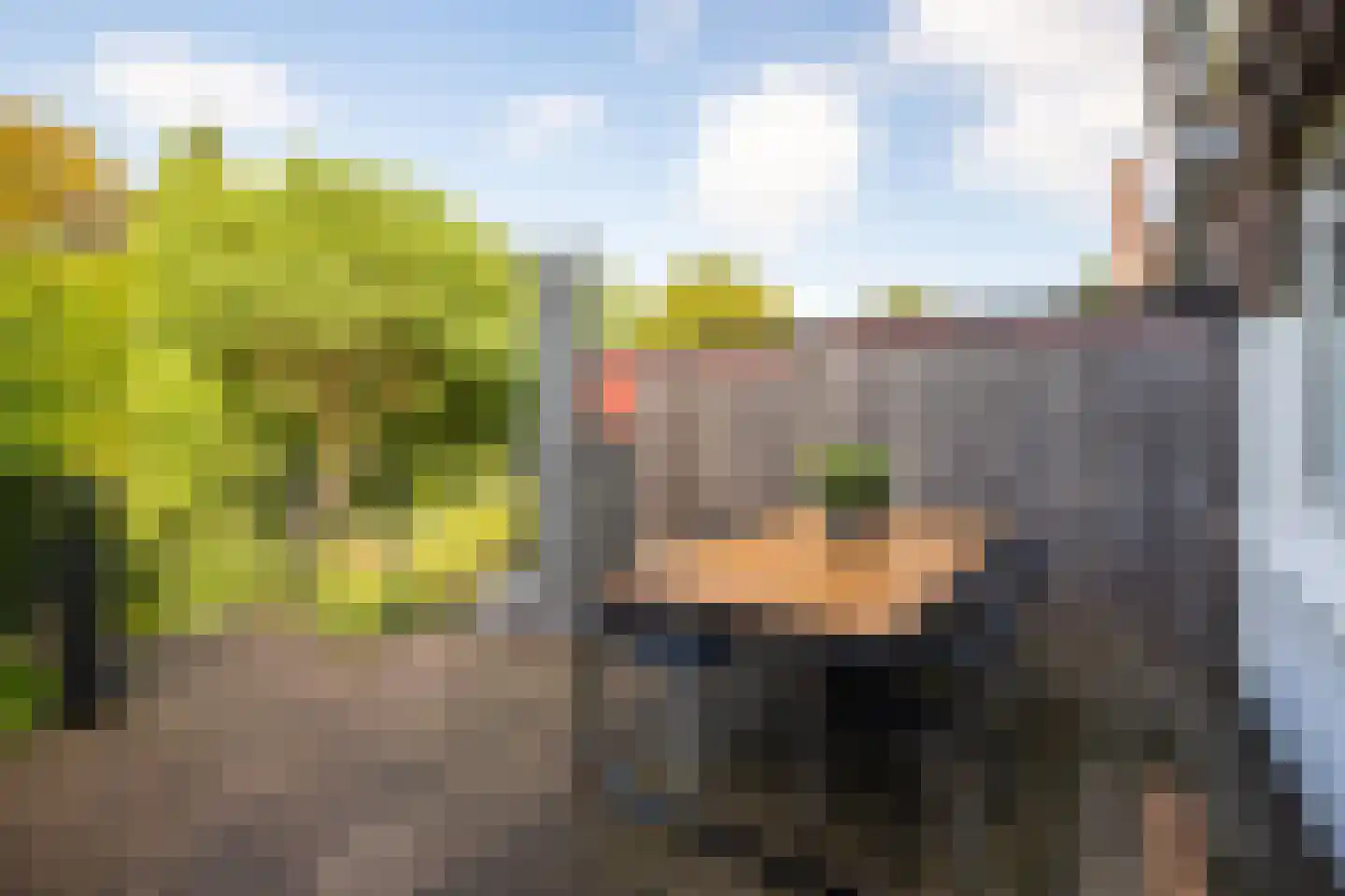 Benzenraderweg 252 Heerlen thumbnail 25