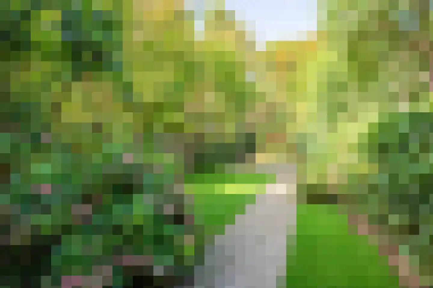 Benzenraderweg 252 Heerlen thumbnail 28