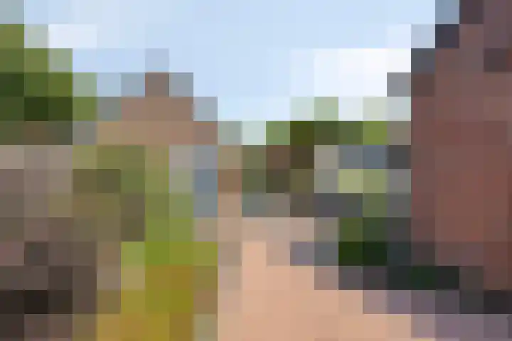 Benzenraderweg 291 Heerlen thumbnail 26