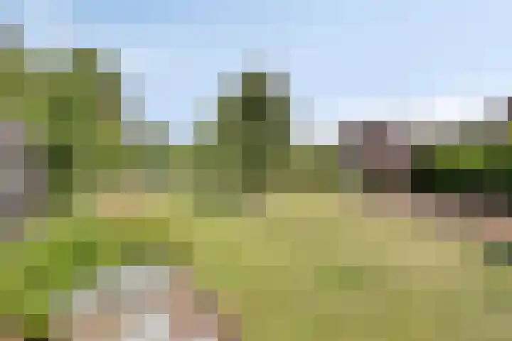 Benzenraderweg 291 Heerlen thumbnail 29