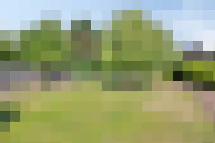 Benzenraderweg 291 Heerlen thumbnail 30