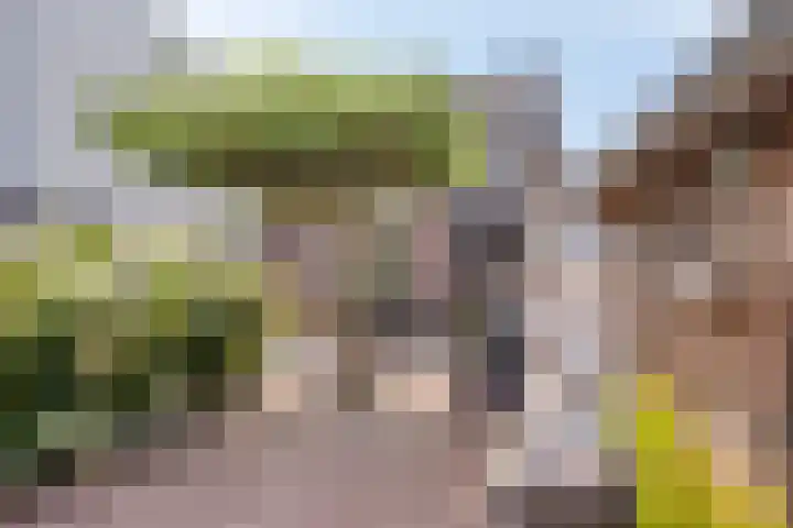 Benzenraderweg 291 Heerlen thumbnail 33