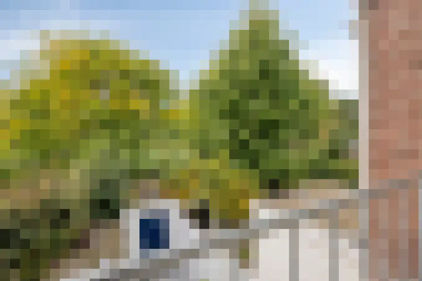Benzenraderweg 54 Heerlen thumbnail 15