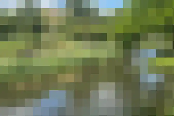 Bep van Klaverenboulevard 42 Amsterdam thumbnail 35