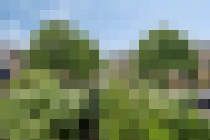 Bep van Klaverenboulevard 76 Amsterdam thumbnail 33