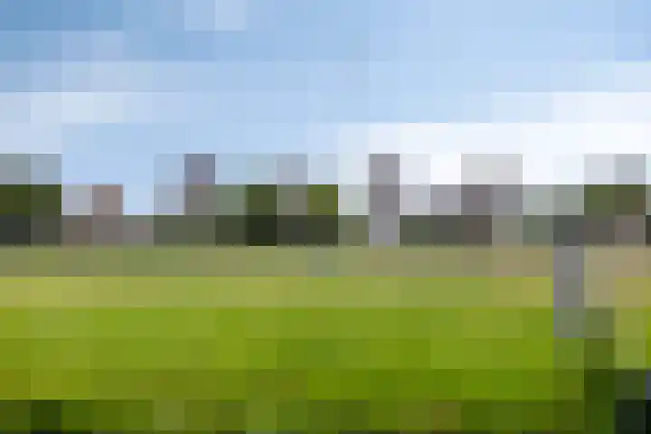 Bep van Klaverenboulevard 76 Amsterdam thumbnail 34