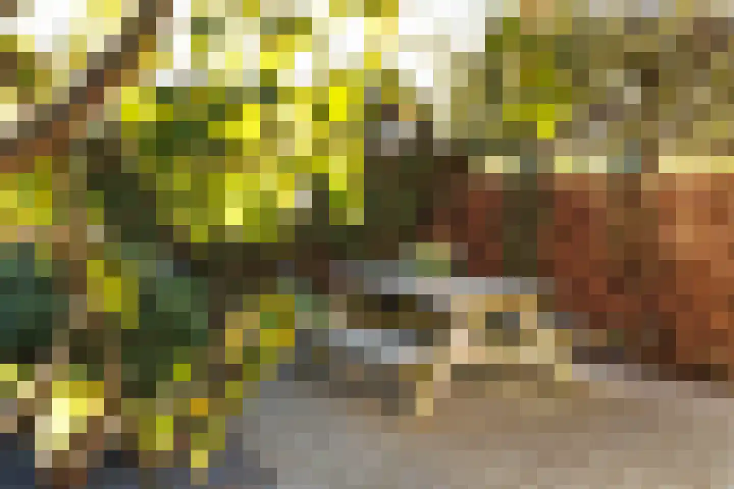 Bep van Klaverenstraat 24 Hoofddorp thumbnail 52