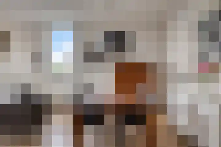 Bep van Klaverenstraat 38 Hoofddorp thumbnail 17