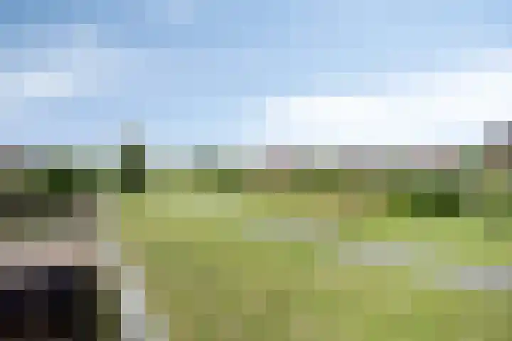 Bep van Klaverenstraat 38 Hoofddorp thumbnail 28