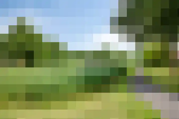 Bep van Klaverenstraat 38 Hoofddorp thumbnail 43